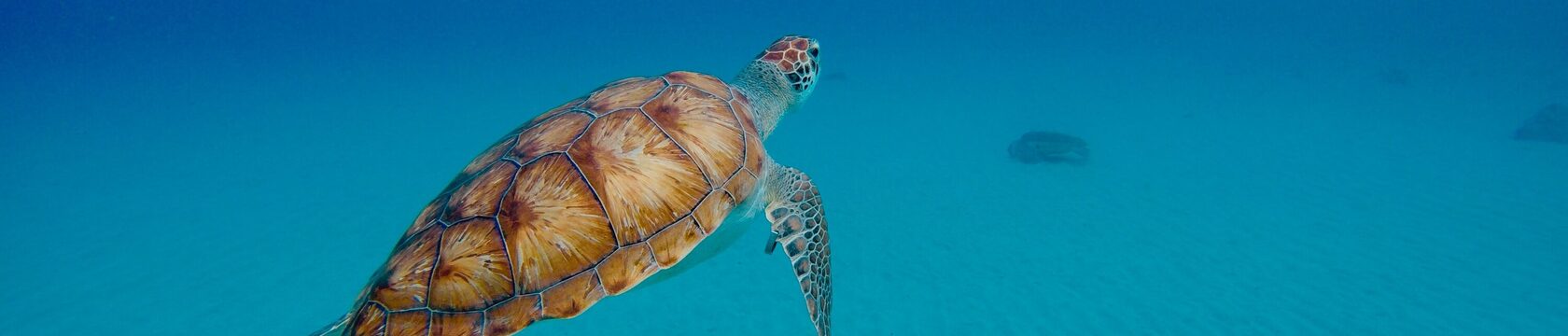 stephan-van-de-schootbrugge-lGTcE0X23Qo-unsplash